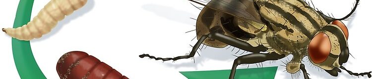 flat,750x,075,f pad,750x1000,f8f8f8