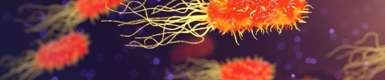 qimono bacteria 3658992 1280