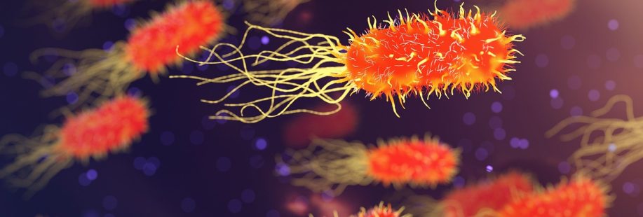 qimono bacteria 3658992 1280